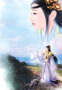 大夏之黑旗北军